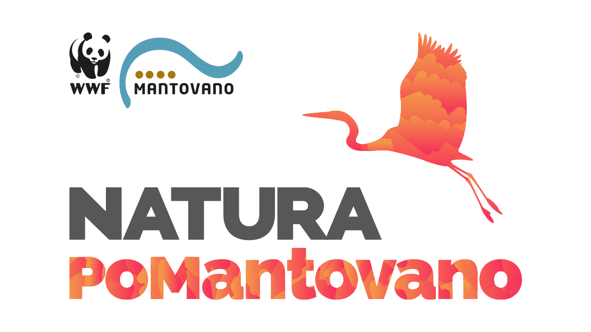 Tutorial 1 Logo Natura Po Mantovano